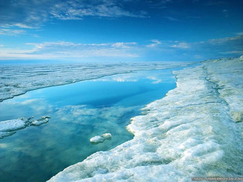 North Pole Wallpapers   Crazy Frankenstein