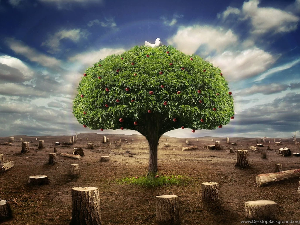 Beautiful 3D Wallpapers