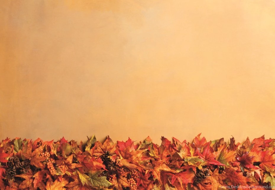 Link2ICT Newsletter Autumn Edition
