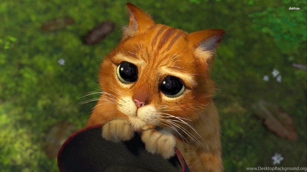 Puss In Boots   Shrek Wallpapers   Cartoon Wallpapers