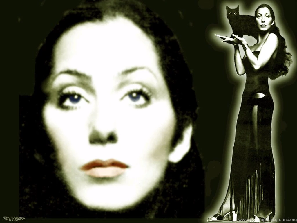 Cher Cher Wallpapers (30571328) Fanpop