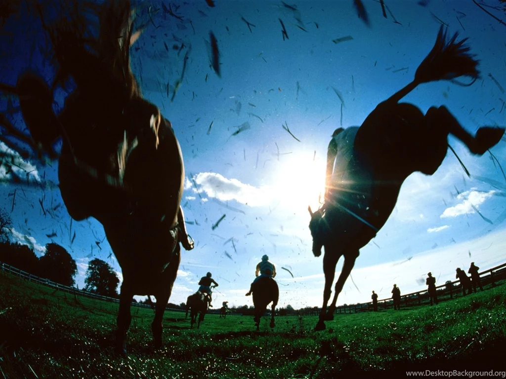 Sports Wallpapers