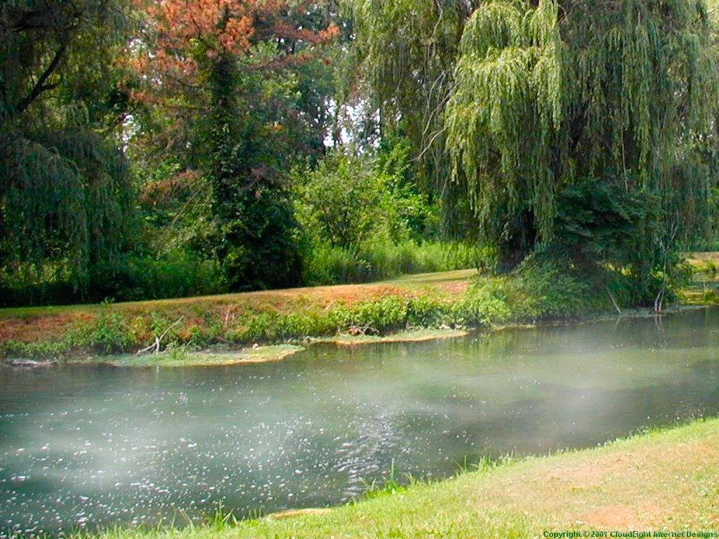 Cloudeight Free Desktop Wallpapers