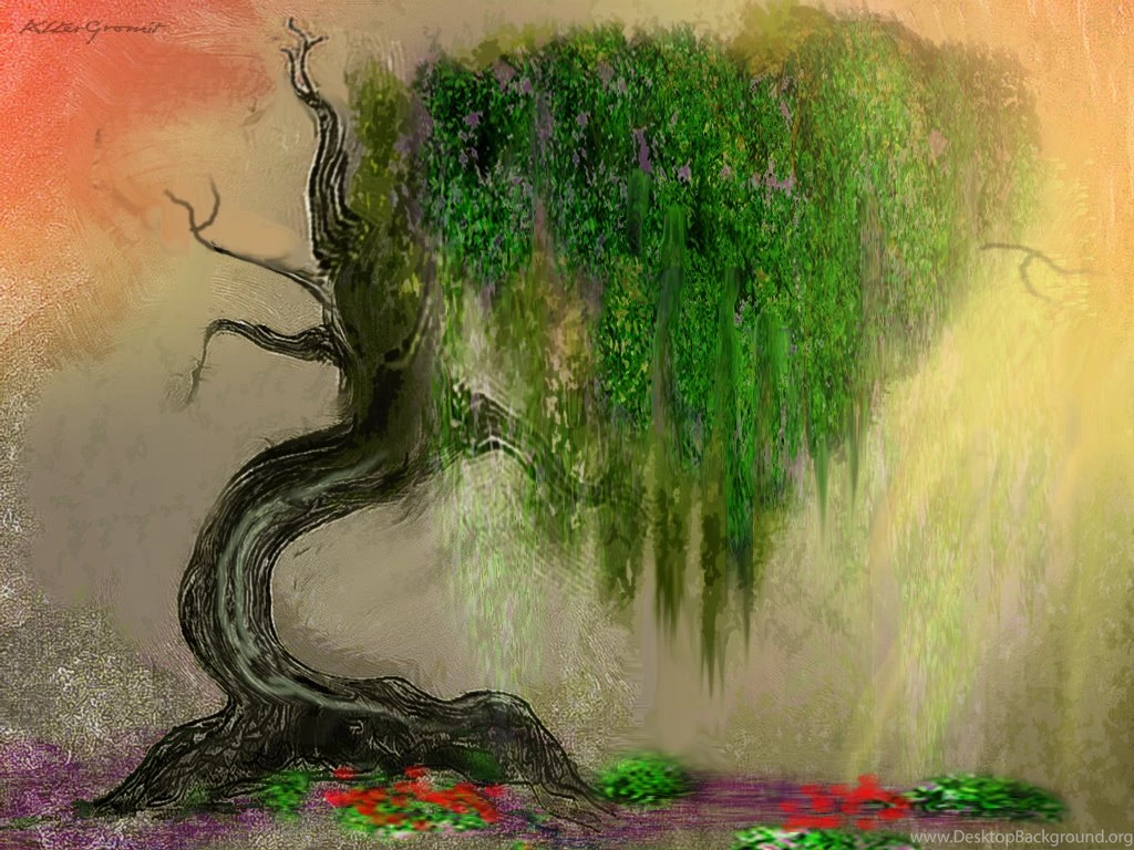 Bent Willow Tree By Altergromit On DeviantArt