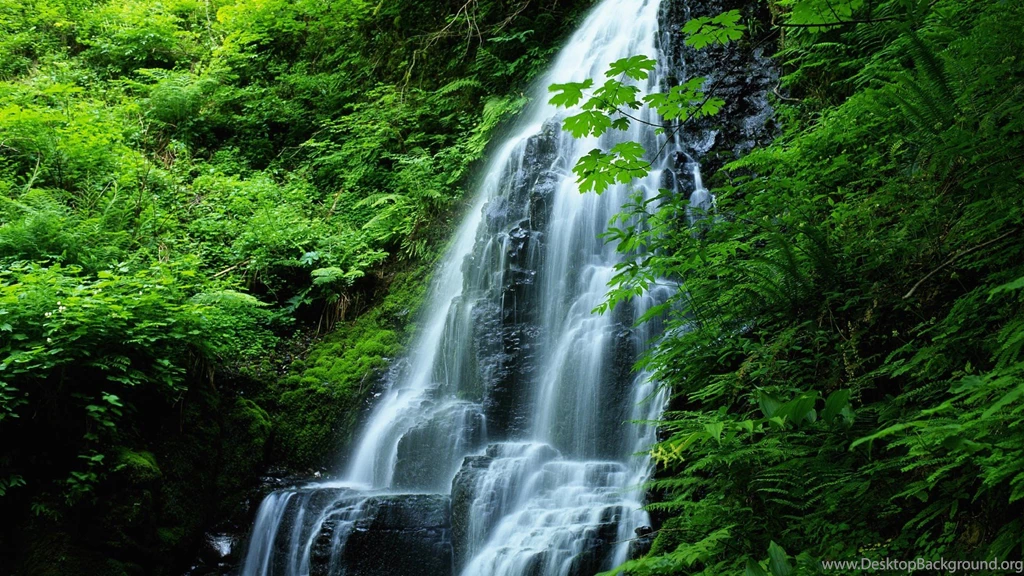 Oregon Wallpaper.