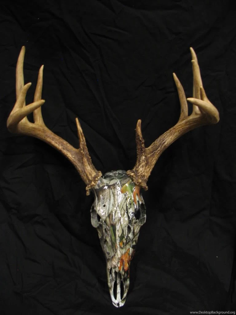 Warthog Dipped Skull, Opinions Wanted