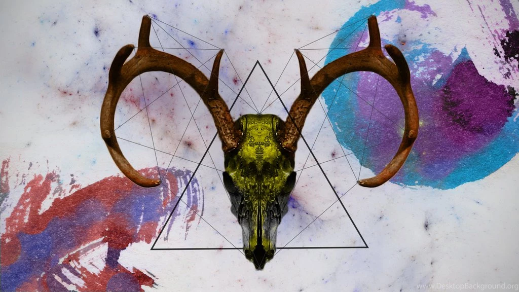 Deer Skull By XXVenomazoidXx On DeviantArt