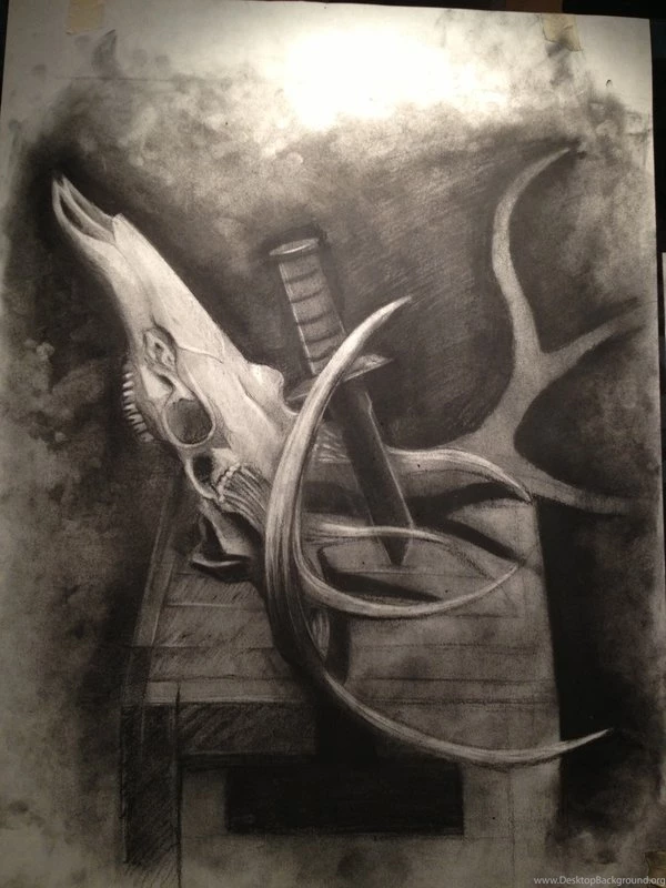 Homework: Deer Skull By RAVNXI On DeviantArt