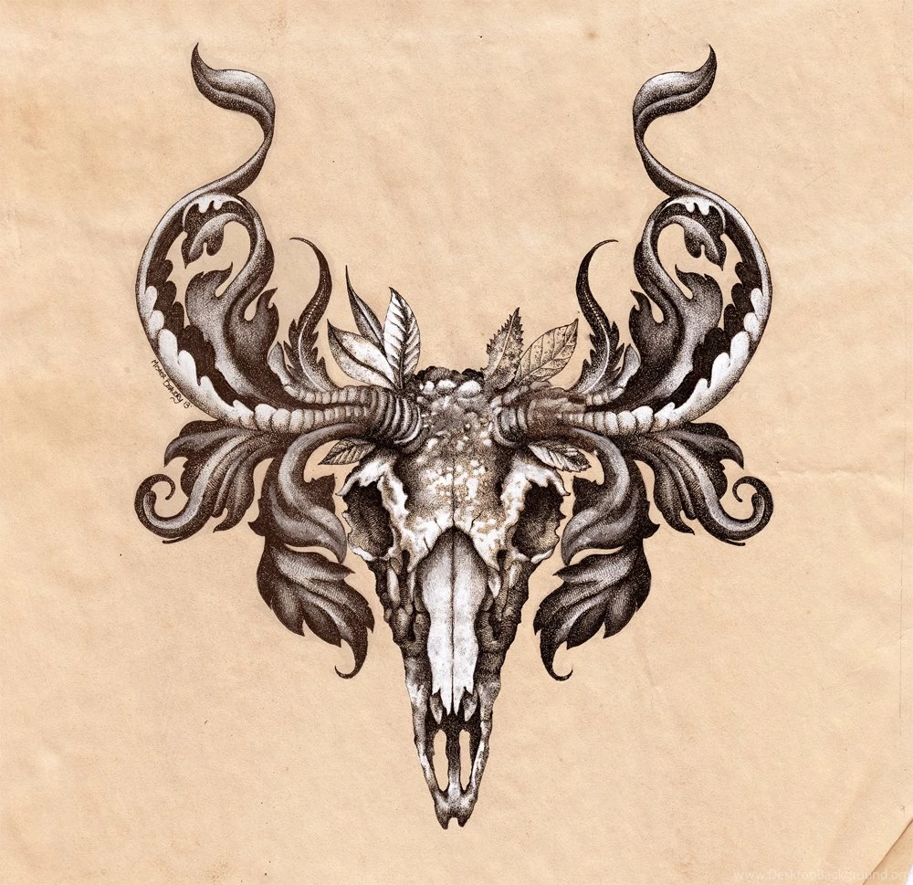 Deerskull   DeviantArt