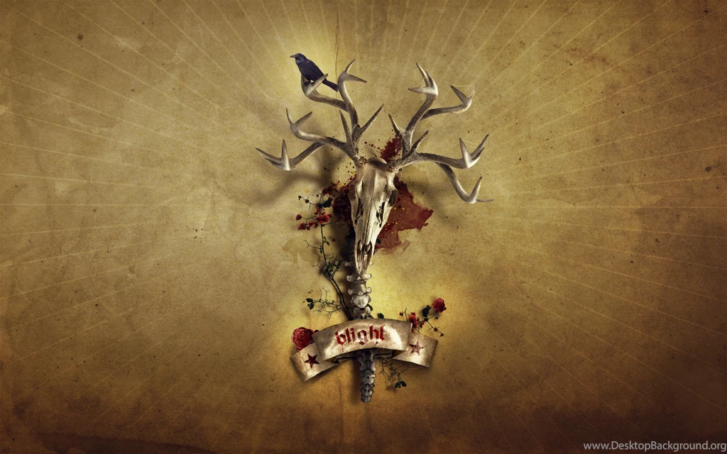 Crow On A Deer Skull Wallpapers 30884