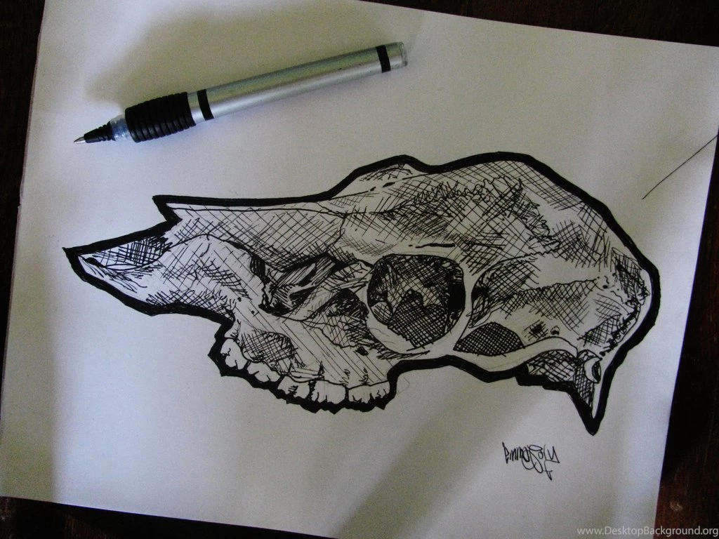Deer Skull By Emmajory On DeviantArt
