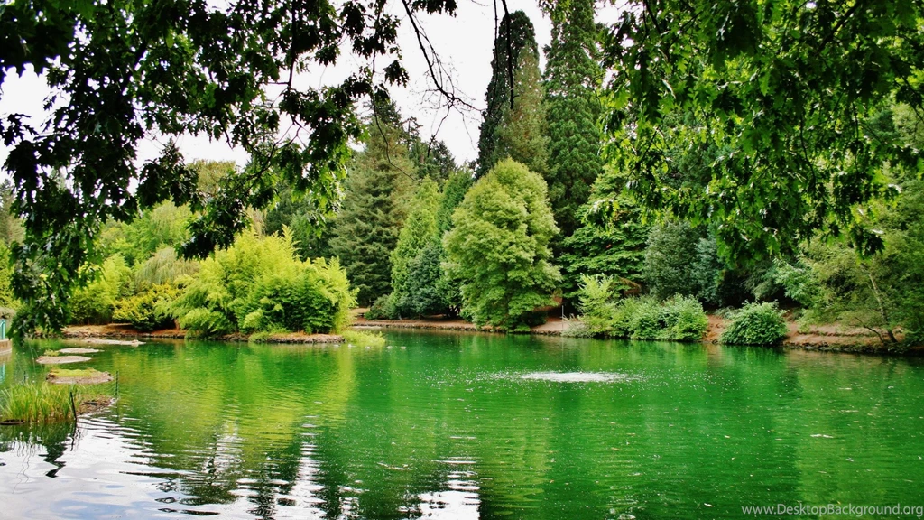 Full HD 1080p Oregon Wallpapers HD, Desktop Backgrounds 1920x1080