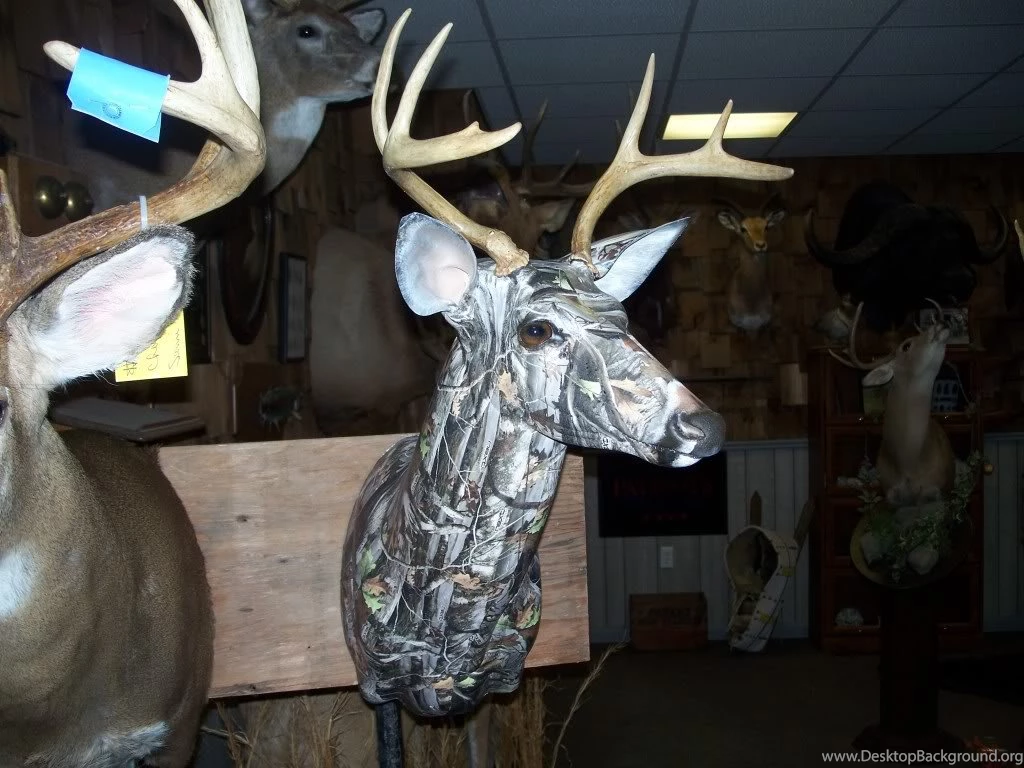 Liquid Concepts   Water Transfer Printing • View Topic   Camo Deer