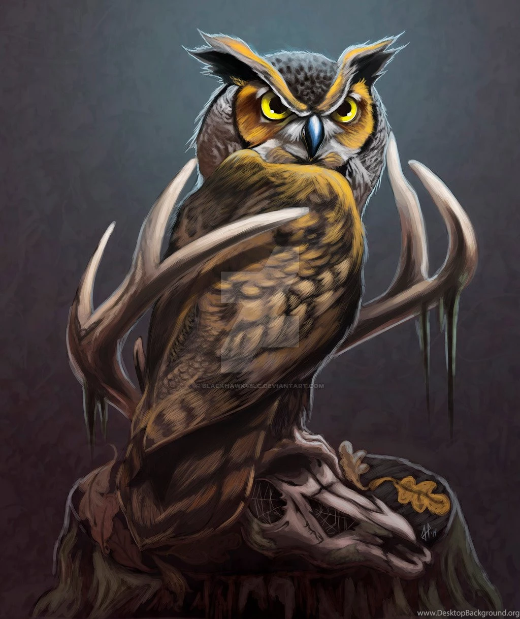Owl On Deer Skull By BlackHawk45LC On DeviantArt