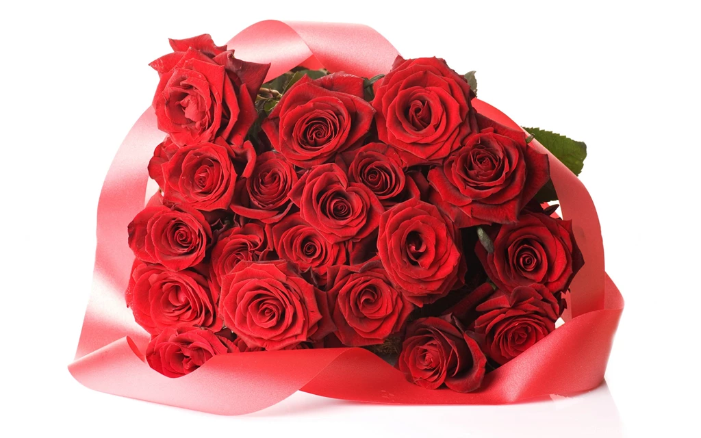 15 Pure Red Valentine's Day Roses HD Wallpapers Birthday Wishes ...