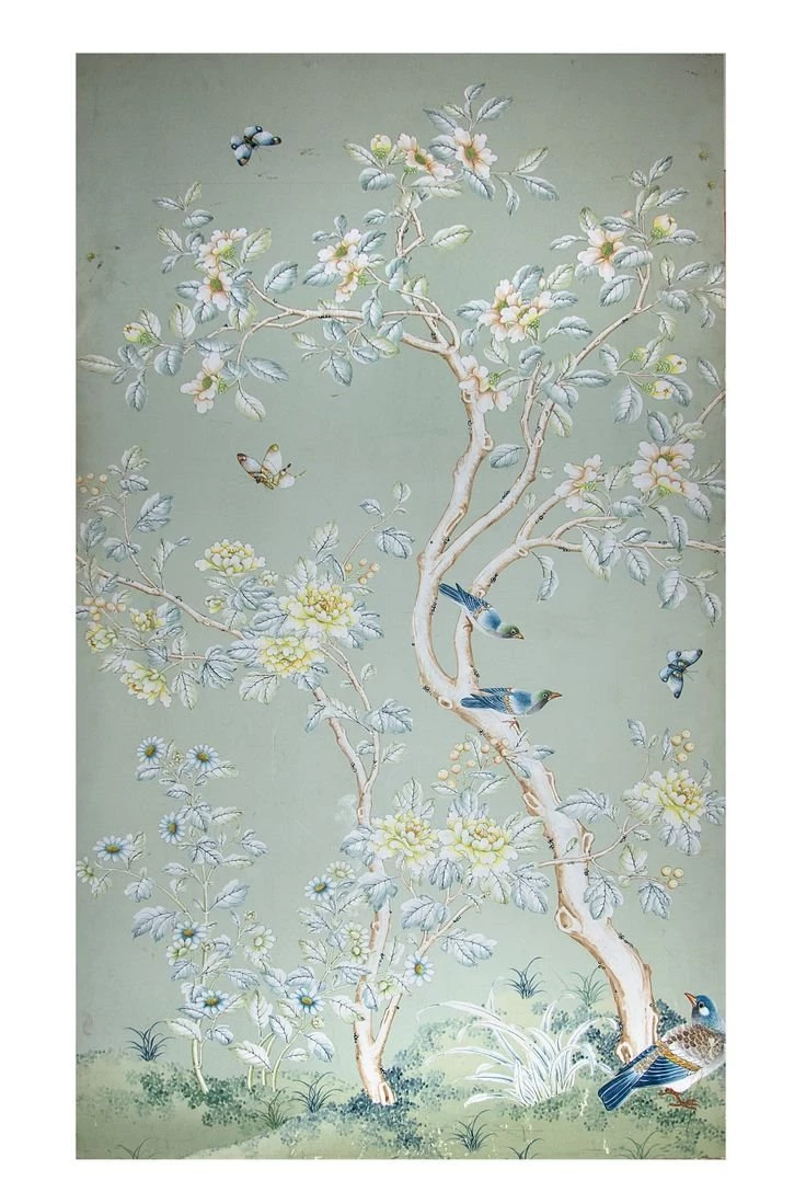 Gracie Wallpapers On Pinterest