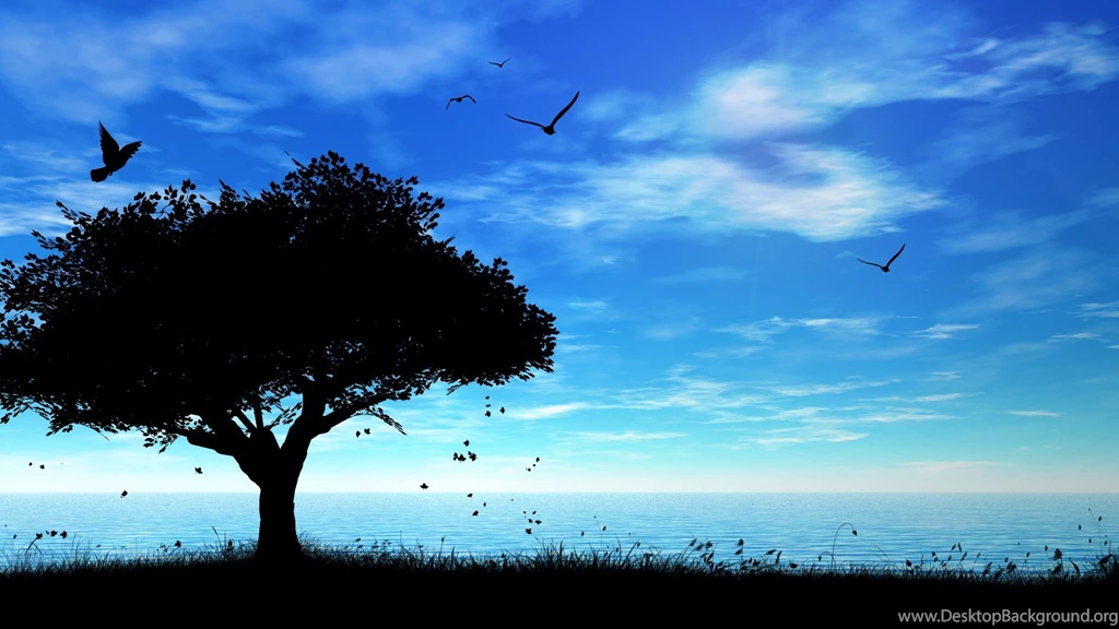 High Resolution Nature Pictures W101A