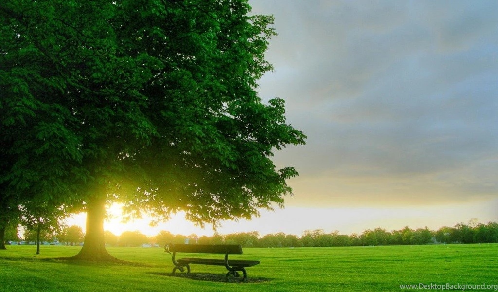 Beautiful Nature High Definition HD Wallpapers