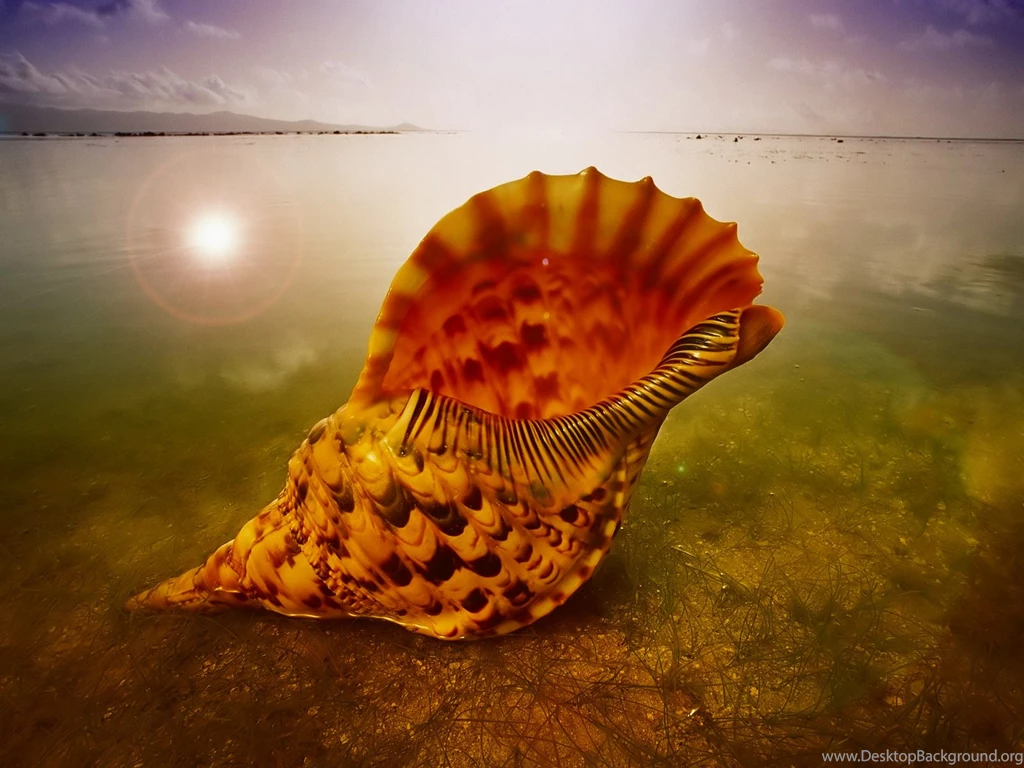 Change Desktop Backgrounds Image Windows 7 Starter ...