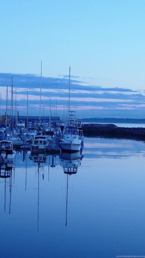 Samsung Galaxy S III Wallpapers