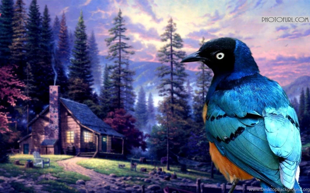 Most Beautiful Wallpapers   More Information