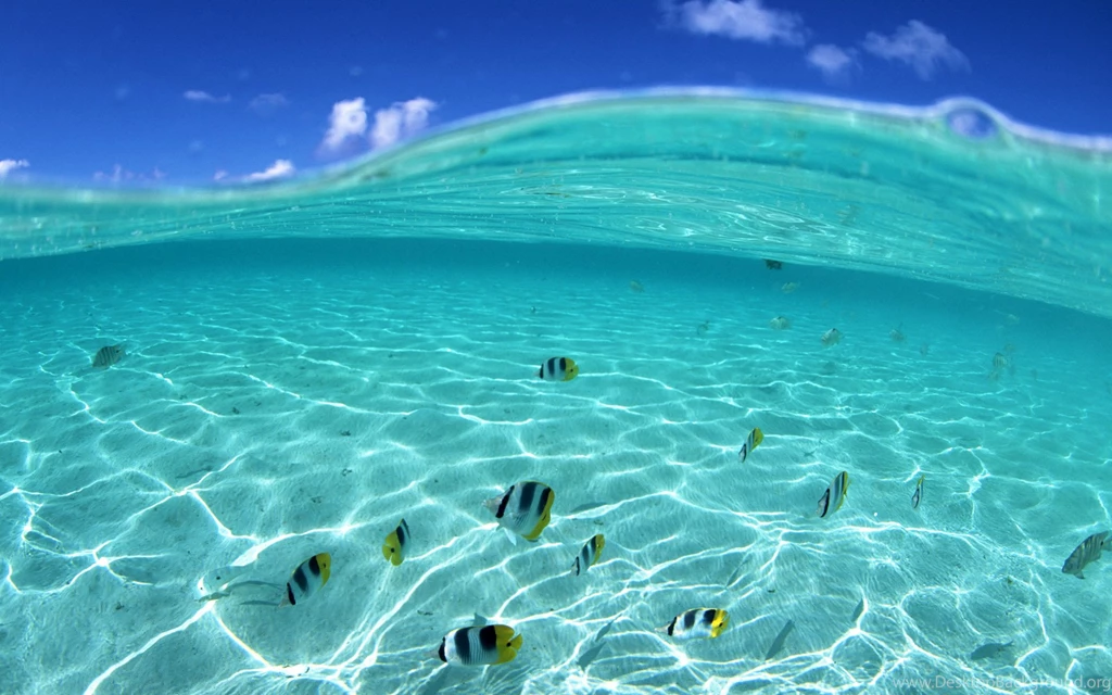 Screensaver, Waikiki, Screensavers, Beach (
