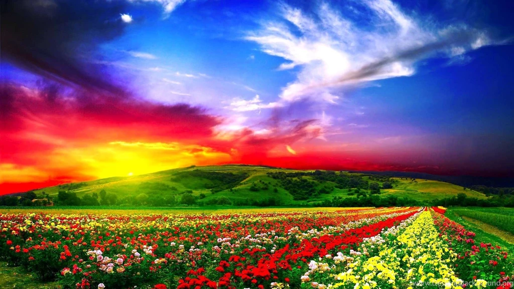 Beautiful Full HD Wallpapers