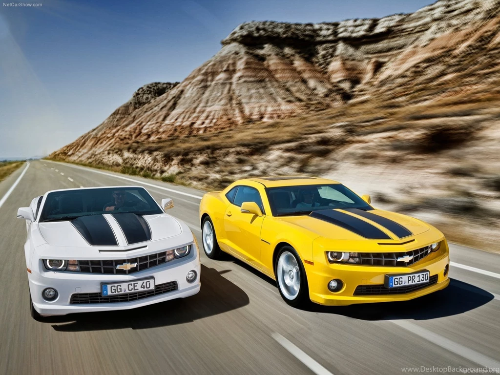 Download Yellow Muscle Wallpapers 1600x1200