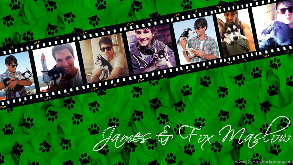 Big Time Rush Wallpapers James Maslow And Fox By RunxWithxWolves ...
