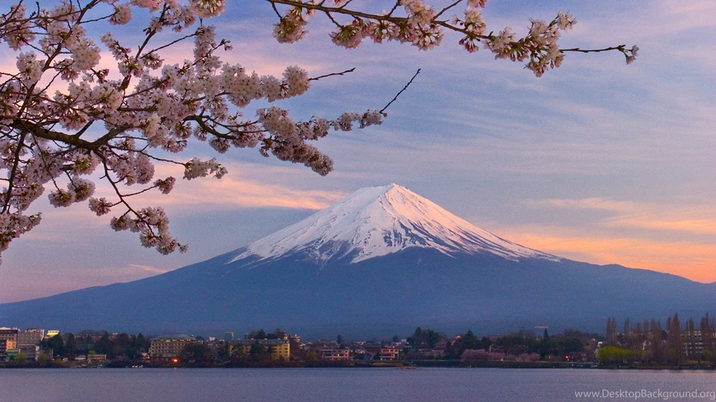 Cherry Blossoms And Mount Fuji Japan Wallpapers