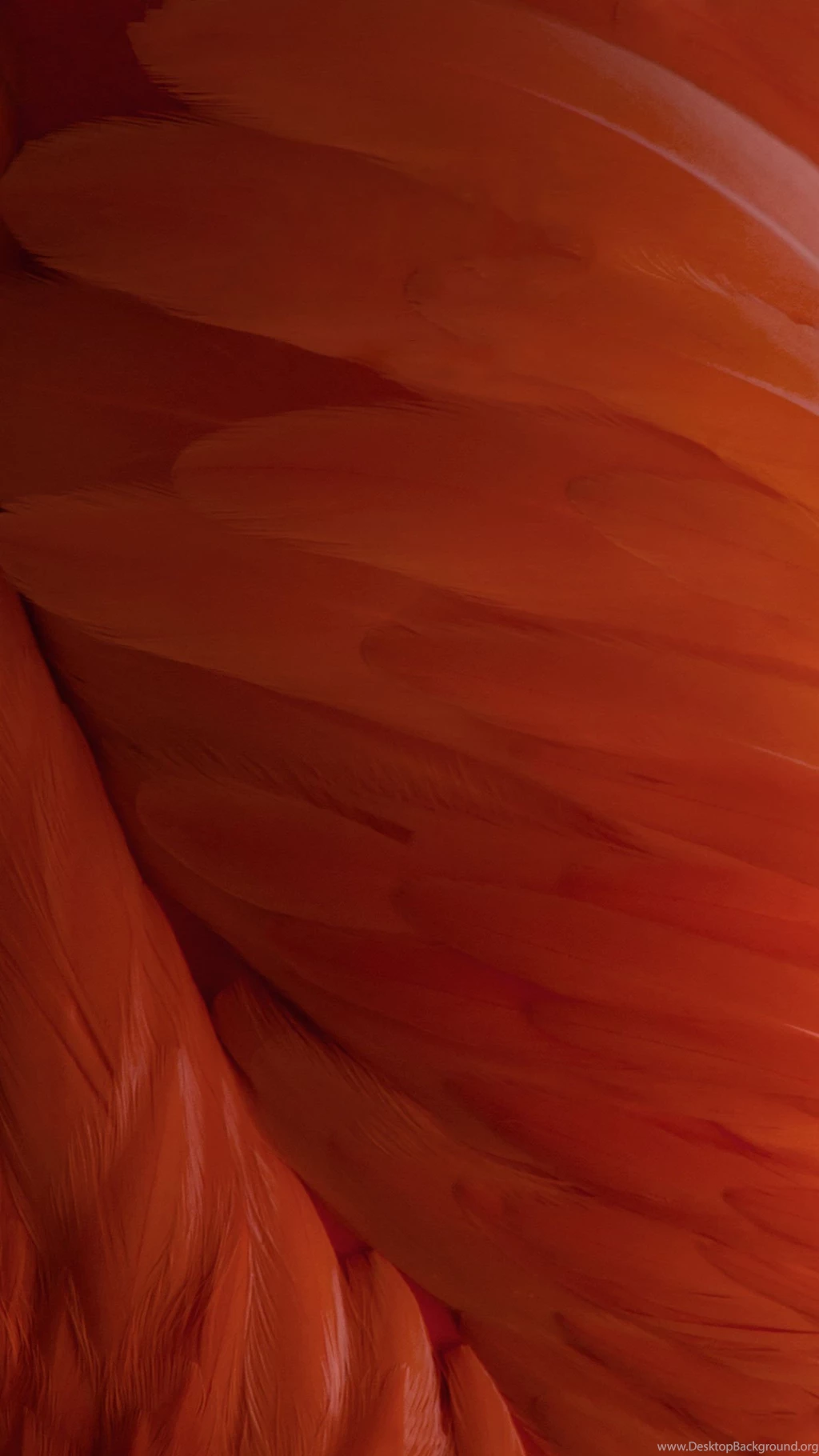 Download IOS 9 HD Wallpapers