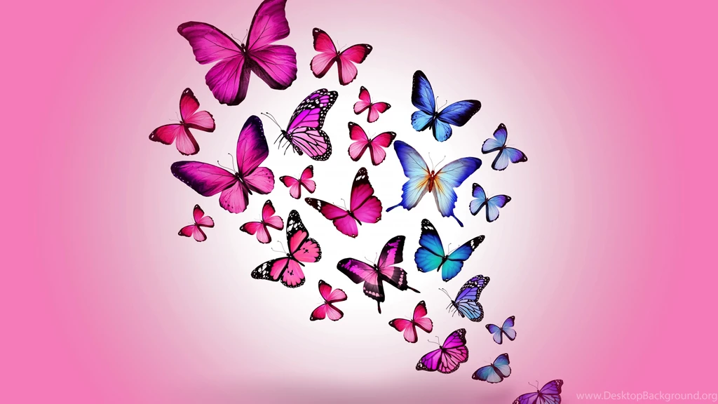 Butterfly Wallpaper Backgrounds 1729 3840x2160 UMad.com