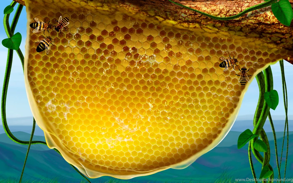 1920x1200 Honeycomb Desktop PC And Mac Wallpapers