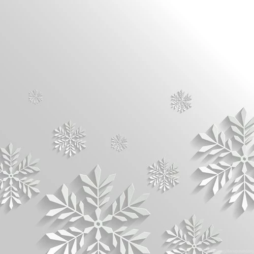 Paper Floral White Christmas Backgrounds Vector 04   Vector ...