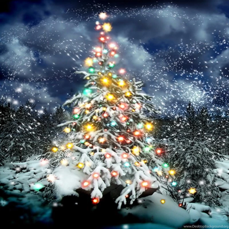 Digital Christmas Backgrounds Promotion Shop For Promotional ...