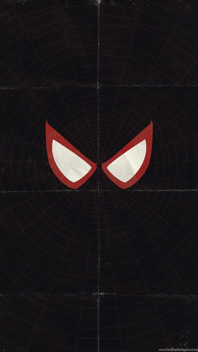 Pics, Facts, Funny Stuff About Animals & Nature Black Spiderman ...