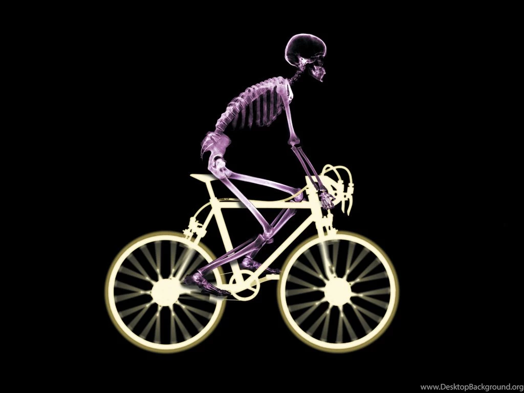 X Ray Bicycles Wallpapers (
