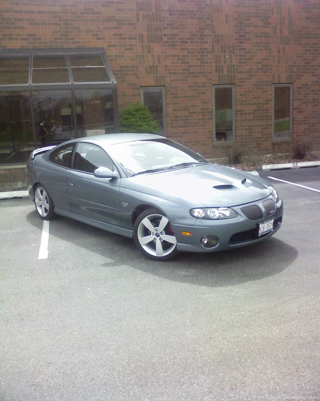 2006 Pontiac Gto Wallpapers Image