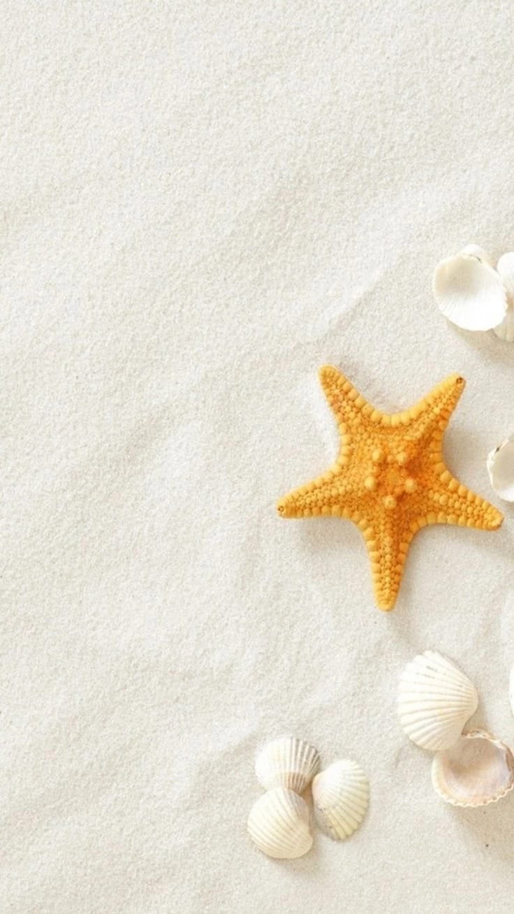 Pure Seaside Beach Starfish Seashell