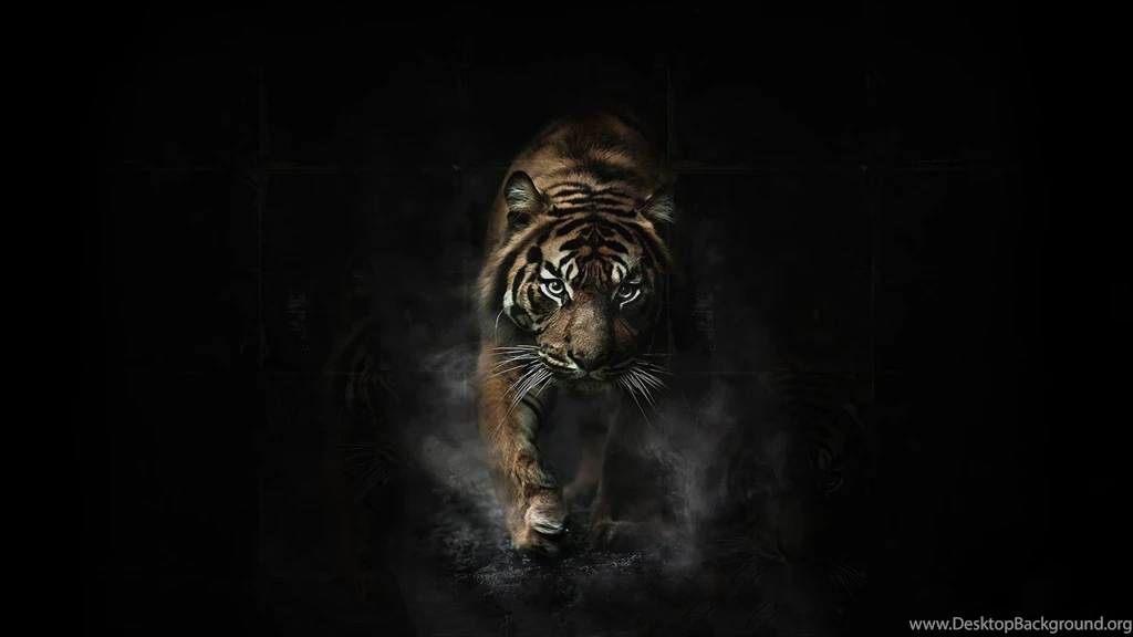1920x1080 Tiger Artwork Wallpapers