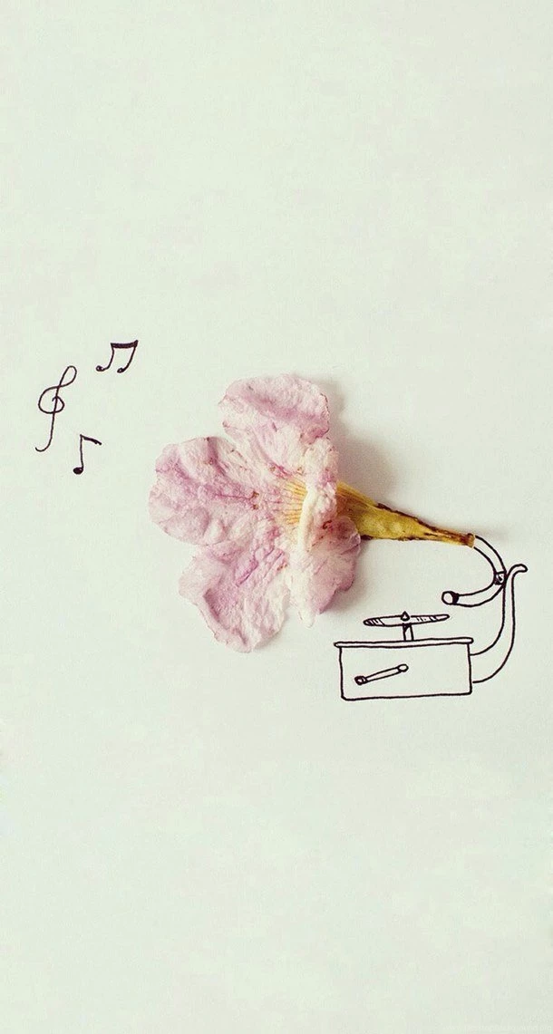 Background, Creative, Flower, Lovely, Music, Petals, Phone, Rose ...