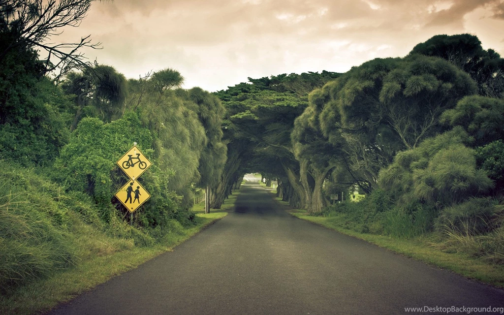 Daily Wallpaper: Nature's Tunnel