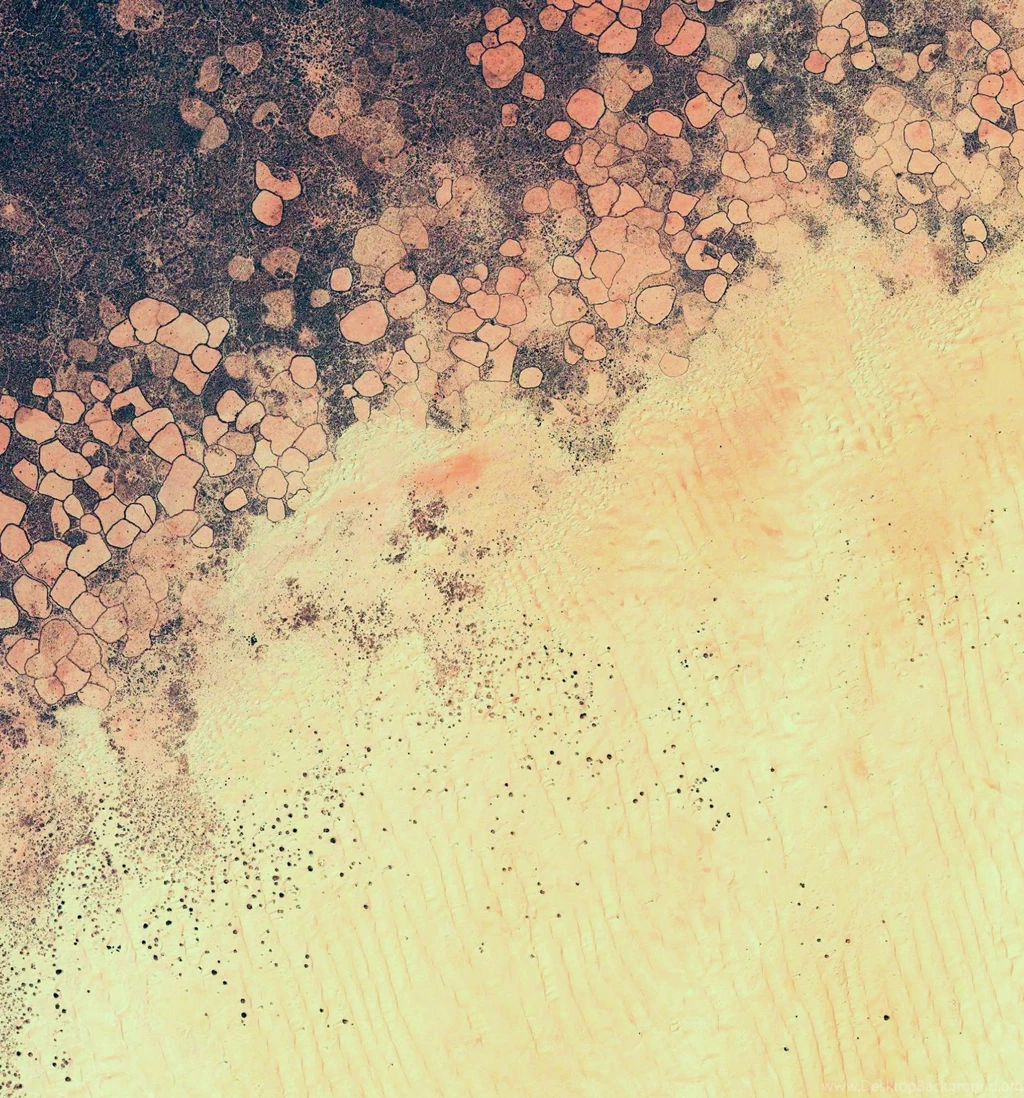 Android 5.0 Lollipop Wallpapers: See The Full Pack Here