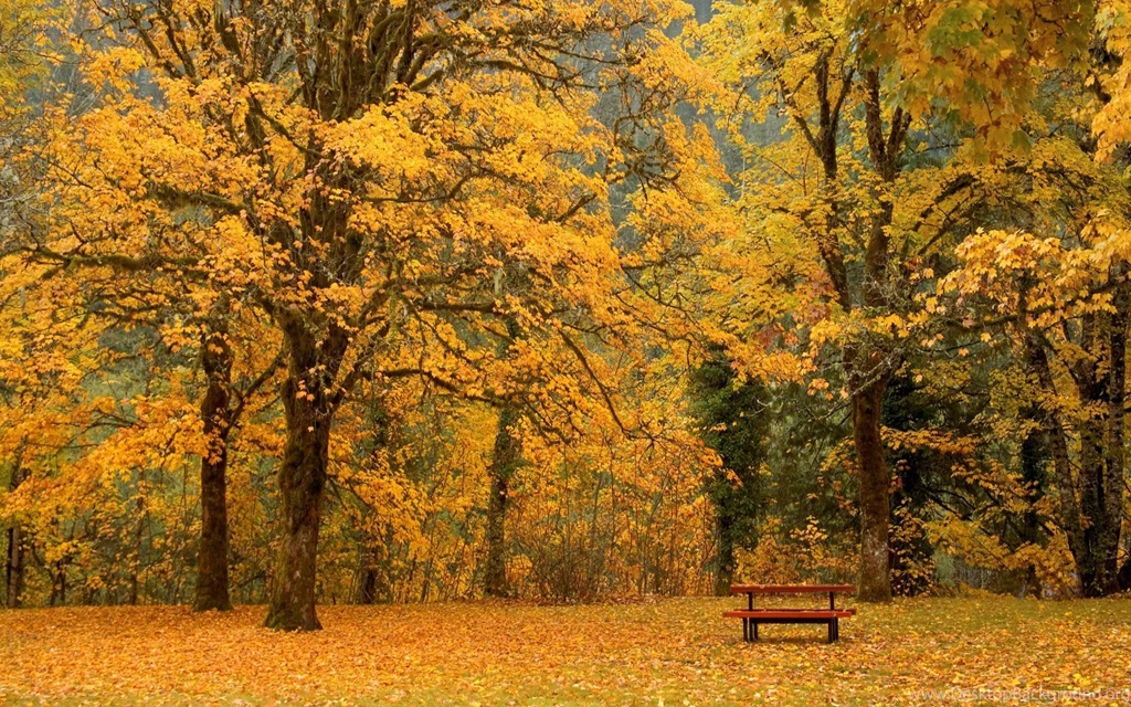 Seasonal Wallpapers For Desktop Wallpapers Cave