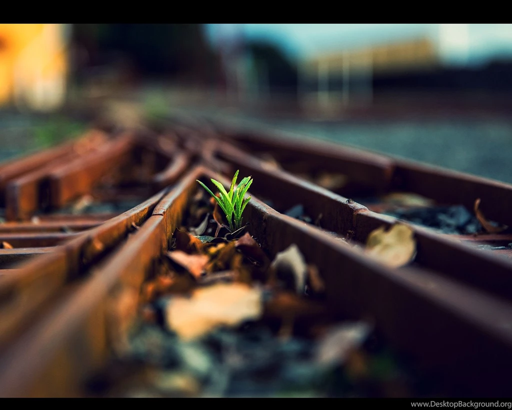 Nexus 7 Wallpapers 41