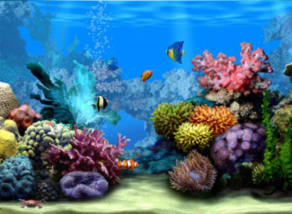 Moving Wallpapers 15 Best Wallpapers Collection