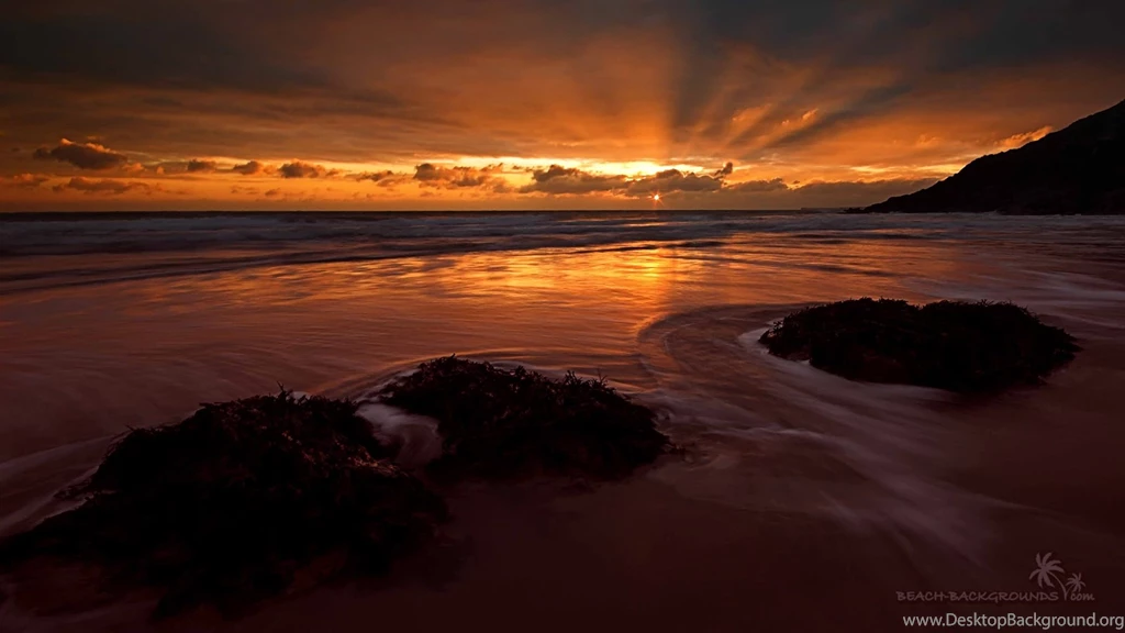 Ocean Wallpapers