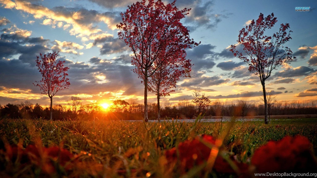 Sunset Wallpapers Nature Wallpapers
