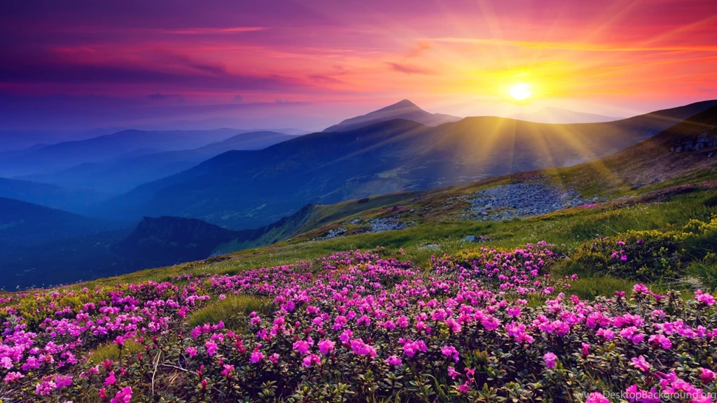 1920x1080 Mountains Azalea Sunset Wallpapers