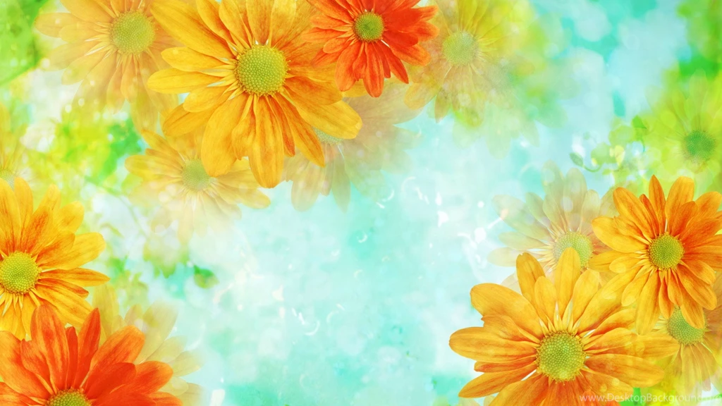 2560x1440 Orange Flowers Hd Backgrounds Wallpapers